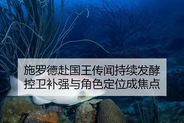 shi-luo-de-fu-guo-wang-chuan-wen-chi-xu-fa-jiao-kong-wei-bu-qiang-yu-jue-se-ding-wei-cheng-jiao-dian-2-343.jpg
